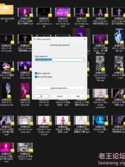 [自行打包] 【MMD/無修正/合集整理】[安寨拉拉] VAM合集 [540P+] [36V+15.3G][百度盘]